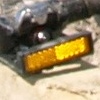 MarkoT