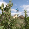 djrider103