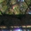 Plamka4