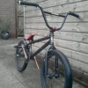 Bushy123