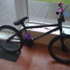 tomlydiate97