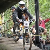 tajul