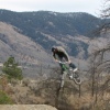 ShawnBurleigh