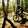 louispearson1
