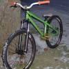 pinscherrider