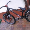 kocik111