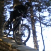 maharet-dh