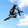 austinplouffe