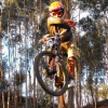 CesarSilva