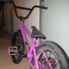 bmxer5
