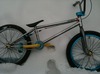 chippi218
