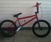 biking-hotty