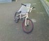 punler