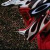 bont