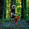 freeride-maverick