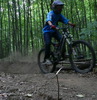 ceddhrider