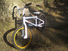 packham-bmx
