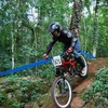 eduardomelere