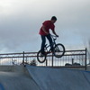 bmxrider595