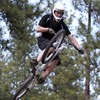 swan3609