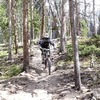 rockdrop420