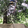 dirtjumper490