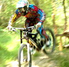BLACKDOWNHILL
