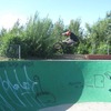 dandoi