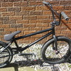 matt-8153