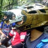 SurvivorElite