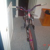 norcobiker420