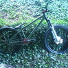 casson
