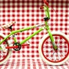 samson-haro