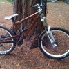 ShrewBoyy