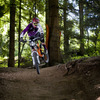 RoseBikesUK