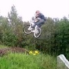 Animal80
