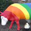 RainbowCow