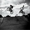 mtbdux9