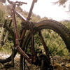 armech