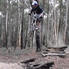 adz123