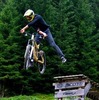 vincenttupin