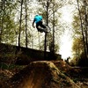 travis8