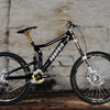 ms-troylee