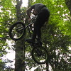 kolby1200
