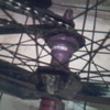 rjh1995