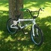bikerboys007