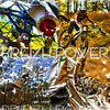 Breizhpower