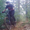 Kamran
