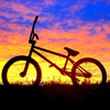 Newfieboy53