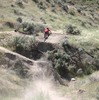 shaggyfreerider